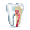 Endodoncija lečenje zuba